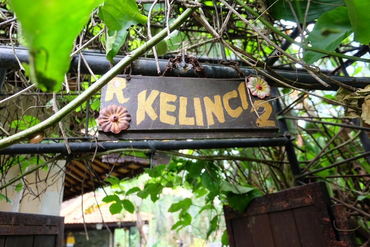 Rumah Kelinci ウブド エクステリア 写真