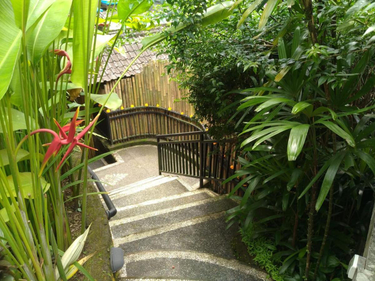 Rumah Kelinci ウブド エクステリア 写真