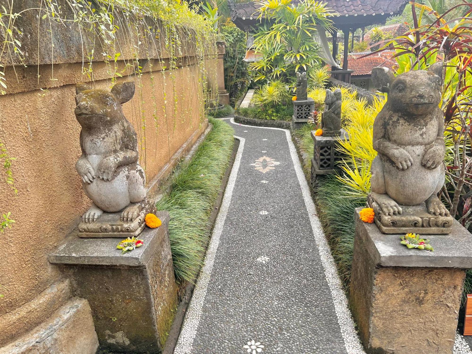 Rumah Kelinci ウブド エクステリア 写真