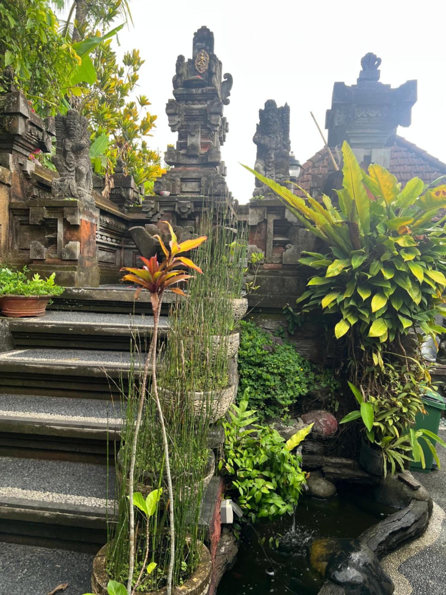 Rumah Kelinci ウブド エクステリア 写真