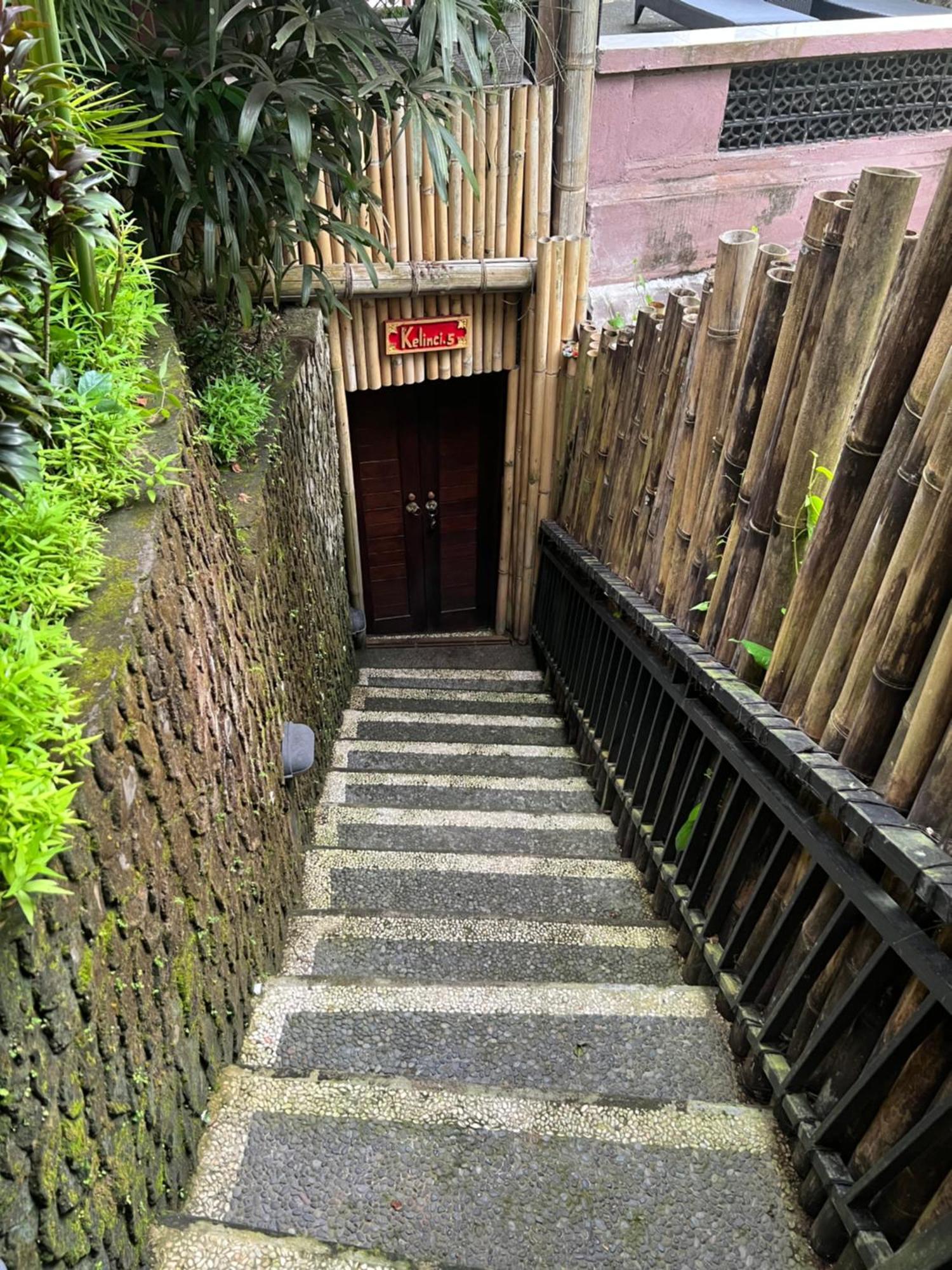 Rumah Kelinci ウブド エクステリア 写真