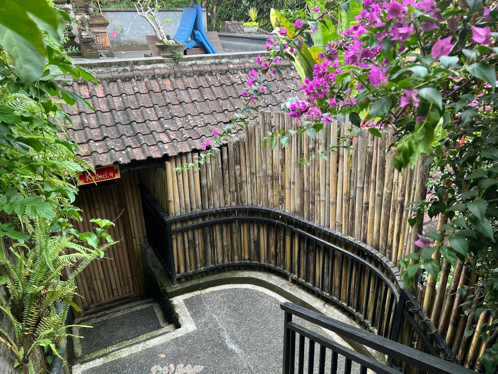 Rumah Kelinci ウブド エクステリア 写真