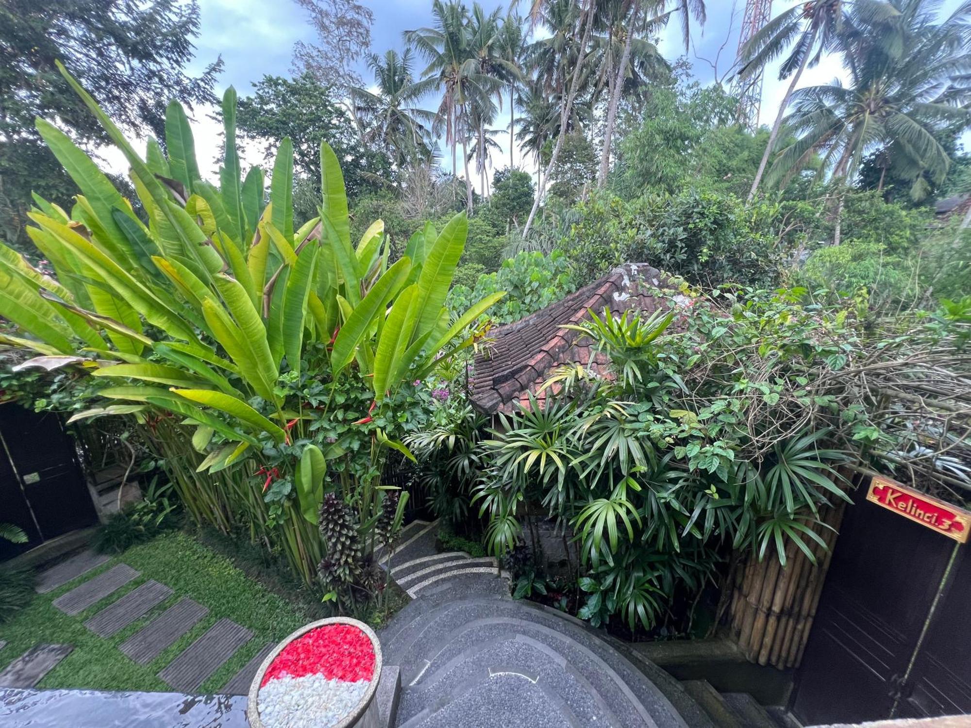 Rumah Kelinci ウブド エクステリア 写真
