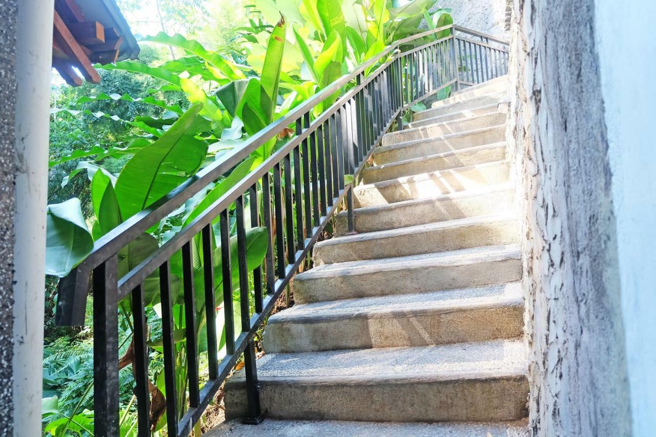 Rumah Kelinci ウブド エクステリア 写真